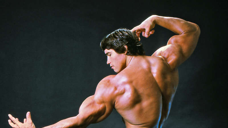 Arnold